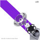 2UUL - UV Curing Lamp (High Capacity)