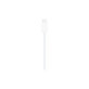 Magnetic fast charger to USB-C cable for Apple Watch, 1 m, plastic, bulk
