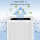 Blueair Blue Pure 211+ - HEPA filter (Activated carbon)
