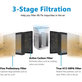 Levoit LV-H128 - HEPA filter (Activated carbon) (2pcs)