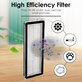 HEPA Filter, 2pcs for Xiaomi Roborock Qrevo Curv, Qrevo Edge, Qrevo MaxV, Qrevo Pro, Qrevo Plus, QV-series