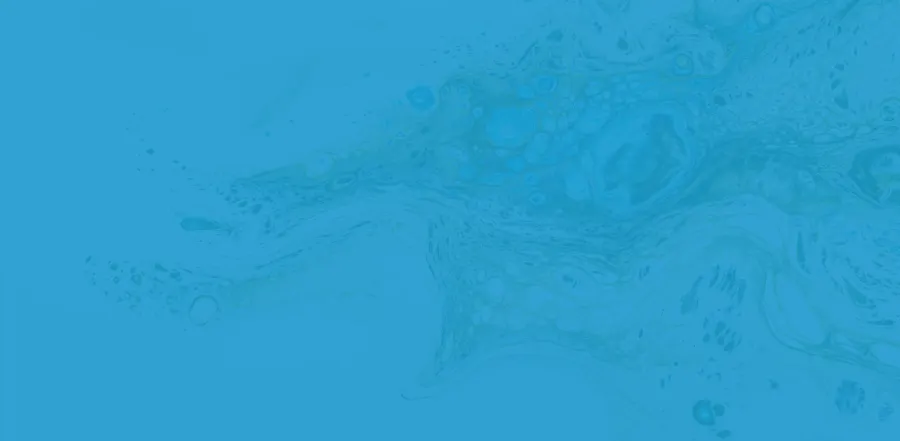 434017