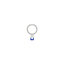 Apple iPad Air - Home Button Plastic Circle (White)