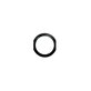 Apple iPad Mini 3 - Home Button Plastic Circle
