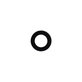 Apple iPhone 6S - Rear Camera Lens without Frame
