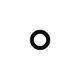 Apple iPhone 6S Plus - Rear Camera Lens without Frame