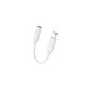 Lightning to 3.5mm jack audio adapter, compatible with Apple