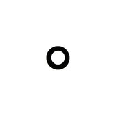 Apple iPad Mini 4 - Camera Lens