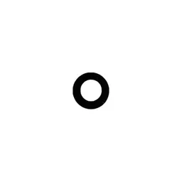 Apple iPad Mini 4 - Camera Lens