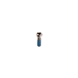Samsung Gear S3 Frontier R760, R765, Classic R770 - Battery Cover Screw - 6001-003294 Genuine Service Pack