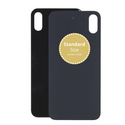 Apple iPhone XS - Rear Housing Glass (Space Gray)