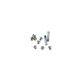 Apple MacBook Air 13" A1369 (Late 2010 - Mid 2011), A1466 (Mid 2012 - Mid 2017) - P5 PENTALOBE Bottom Screw Set