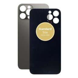 Apple iPhone 12 Pro Max - Rear Housing Glass (Graphite)