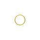 Apple iPhone XR - Rear Camera Lens Frame (Yellow)