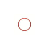 Apple iPhone XR - Rear Camera Lens Frame (Coral)