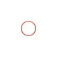 Apple iPhone XR - Rear Camera Lens Frame (Coral)