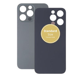 Apple iPhone 13 Pro - Rear Housing Glass (Graphite)
