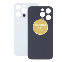 Apple iPhone 13 Pro - Rear Housing Glass (Silver)