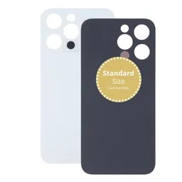 Apple iPhone 13 Pro - Rear Housing Glass (Silver)