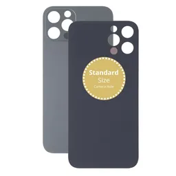 Apple iPhone 13 Pro Max - Rear Housing Glass (Graphite)