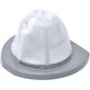 Bissell FeatherWeight - Filter 2033