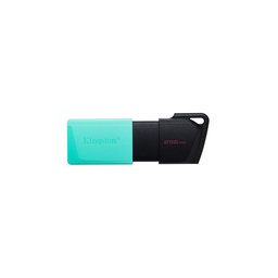 Kingston - FlashDisk DataTraveler 256 GB, USB 3.2, green