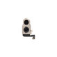 Apple iPhone 17 - Rear Camera