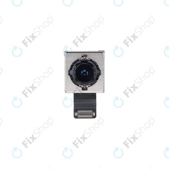 Apple iPhone XR - Rear Camera